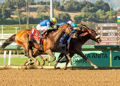 Subsanador, das cocheiras de Richard Mandella, vence o California Crown Stakes (G.1)