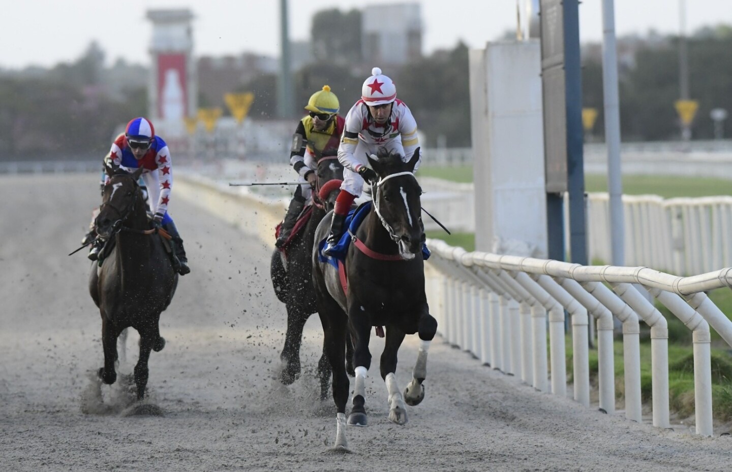 Mapa Mundi, treinado por Josiane Gulart, vence GP Gal Artigas (G.2), no Uruguai