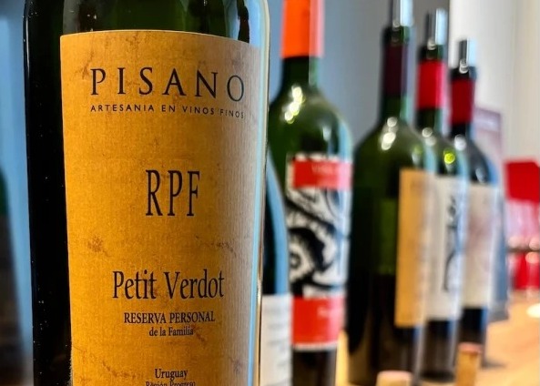 ''A porcaria da petit verdot!''
