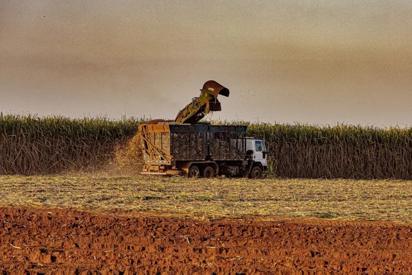 Indstria v bioenergia como a soluo realista do Brasil para o clima