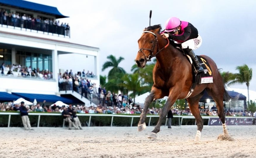 Art Collector surpreende na Pegasus World Cup Invitational, na Flrida