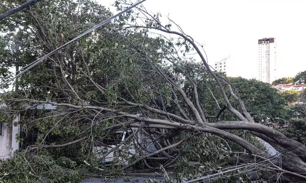 Enel diz que ainda no h previso para restabelecimento total da energia em SP, diz jornal