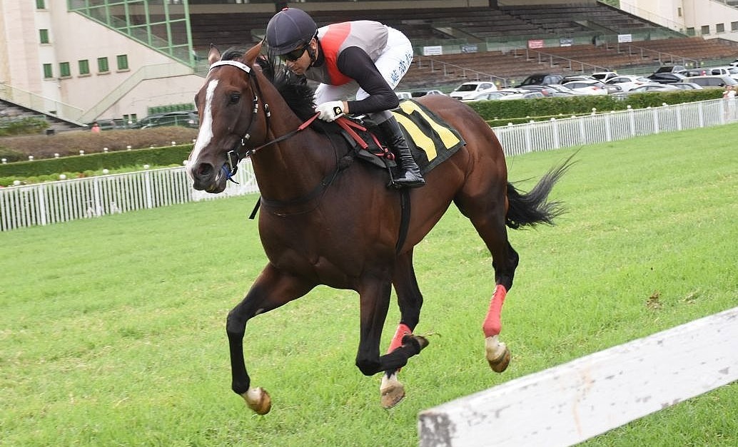 Obataye levanta o GP 14 de Maro (G3); Doutor Sureo ter campanha redefinida