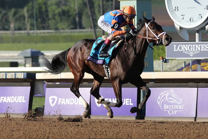 Fierceness e Journalism so os mais cotados da Breeders' Cup Classic deste sbado, em Del Mar