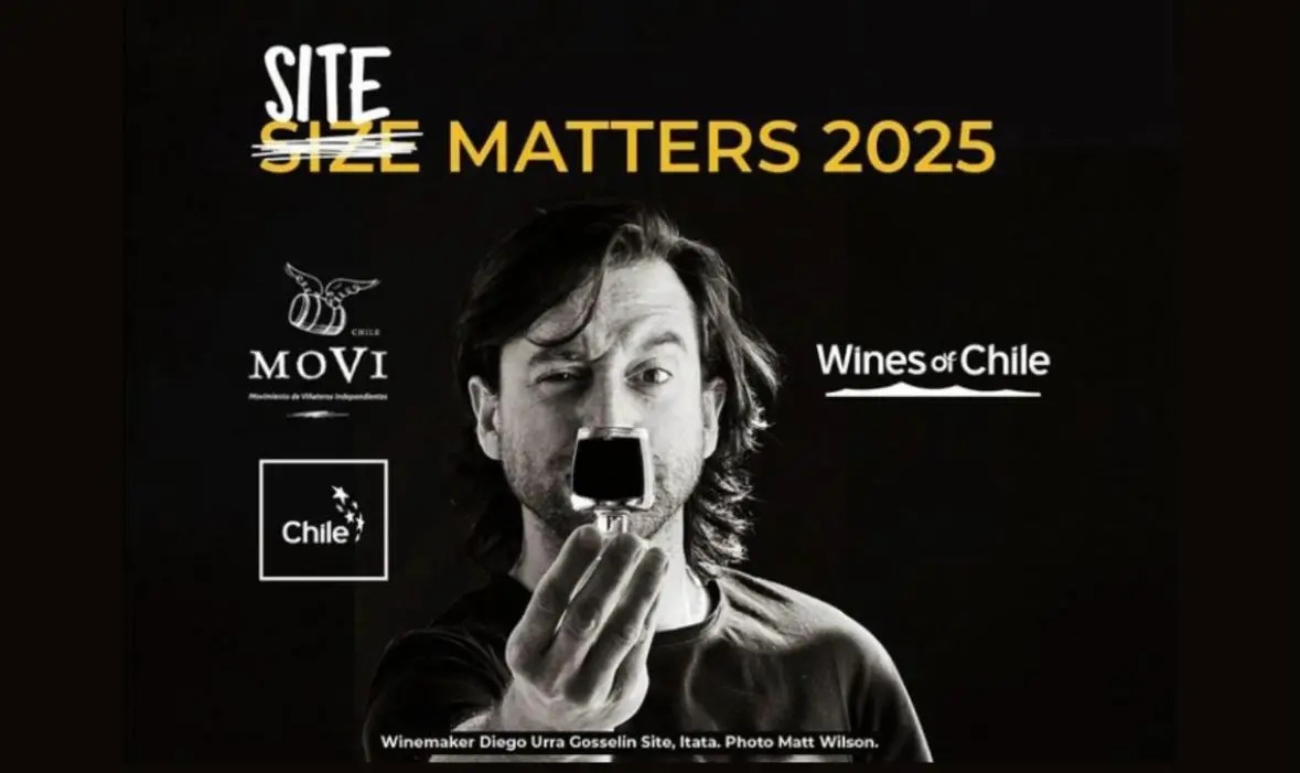 Tamanho importa? A resposta dos vinhos do Chile para esse dilema