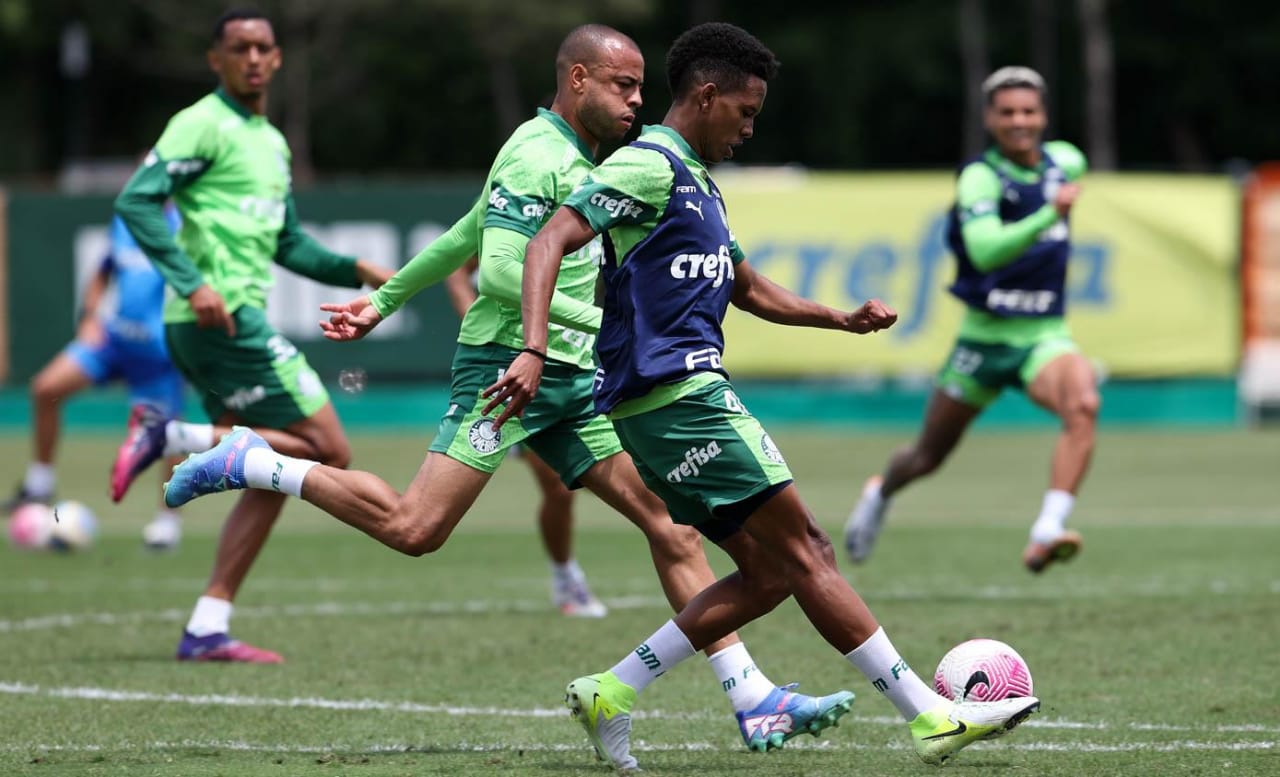 Botafogo e Palmeiras lutam hoje pela liderana do Campeonato Brasileiro