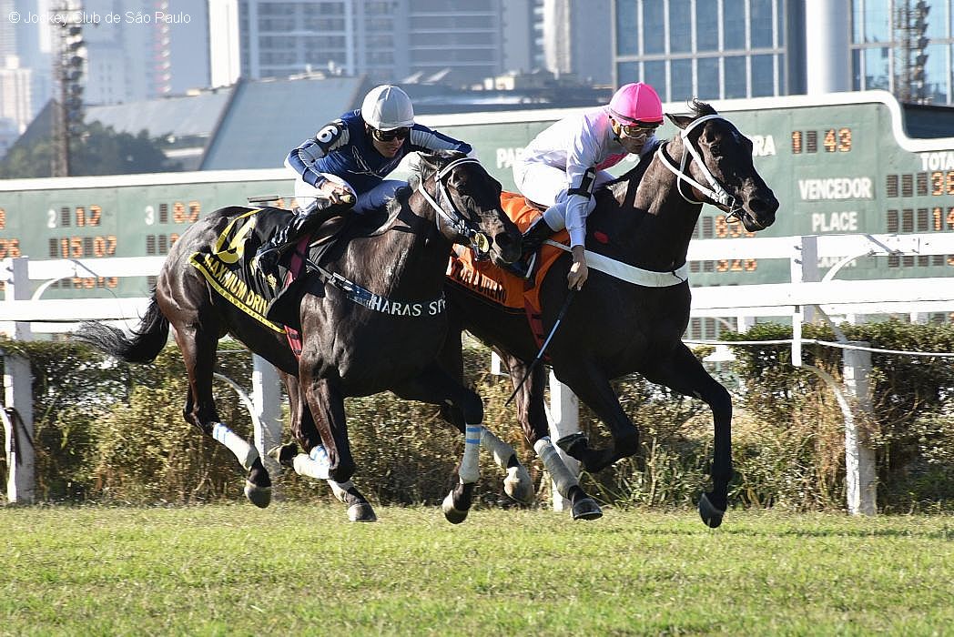 Campeo do GP So Paulo, Doutor Sureo conquista a Copa Clssica Matias Machline