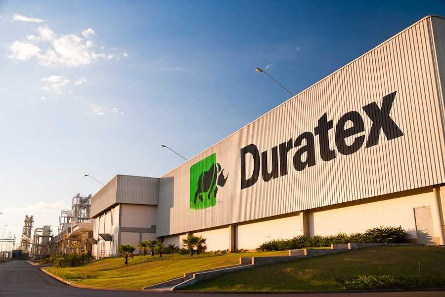 Duratex, agora Dexco, estrutura mudanas do seu negcio