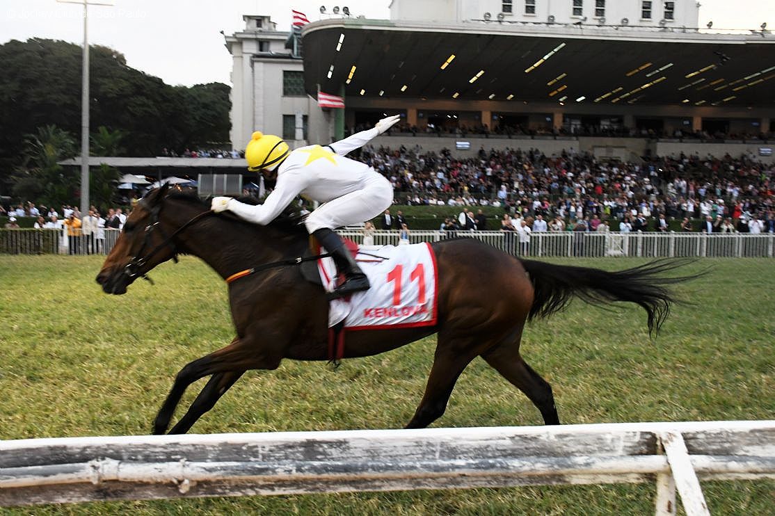 Kenlova, nica gua no preo, vence o Grande Prmio So Paulo (G.1), em Cidade Jardim