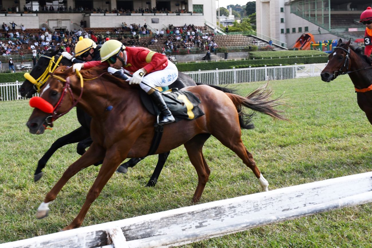 Aps liminar, quais os prximos captulos da 'novela' de desapropriao do Jockey Club?