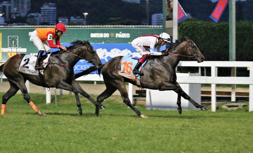 Frankie Dettori encerra tour sul-americano com vit�ria cl�ssica no hip�dromo da G�vea